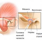 анатомия височно-нижнечелюстного сустава