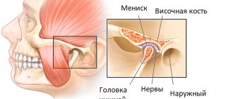 anatomy of the temporomandibular joint