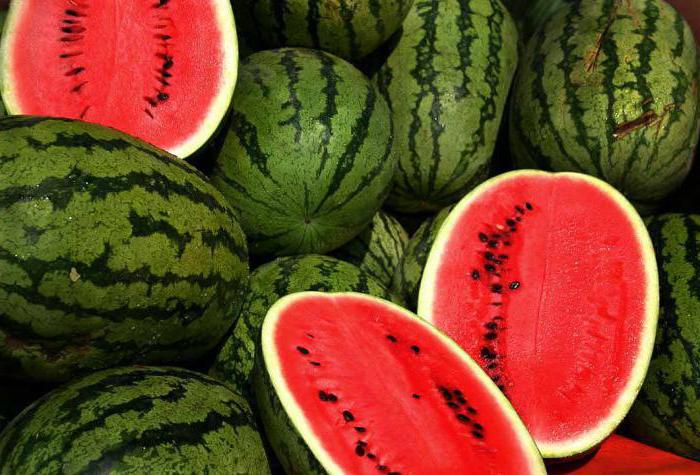 watermelon for nursing