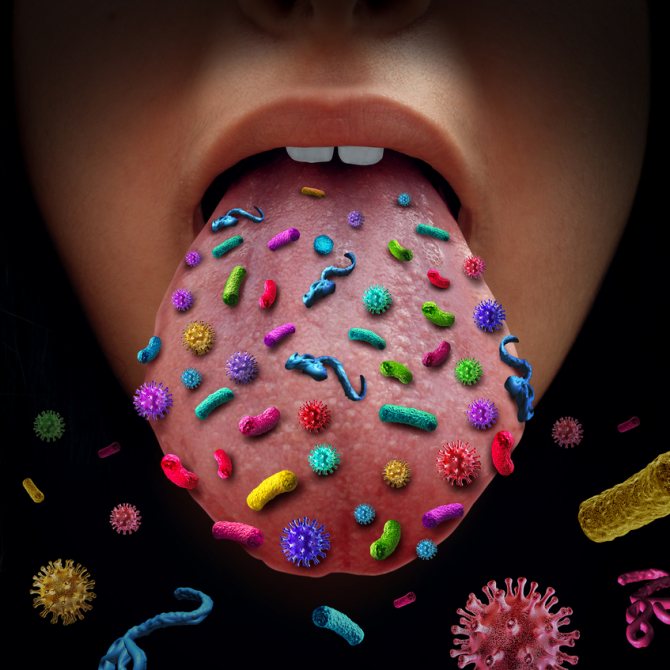 бактерии, живущие во рту