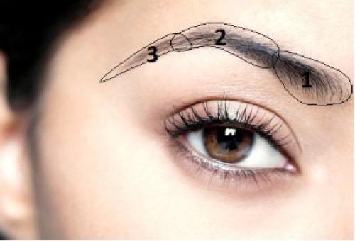 Biotattooing of eyebrows with henna during guards. Step-by-step instructions for biotattooing eyebrows with henna 