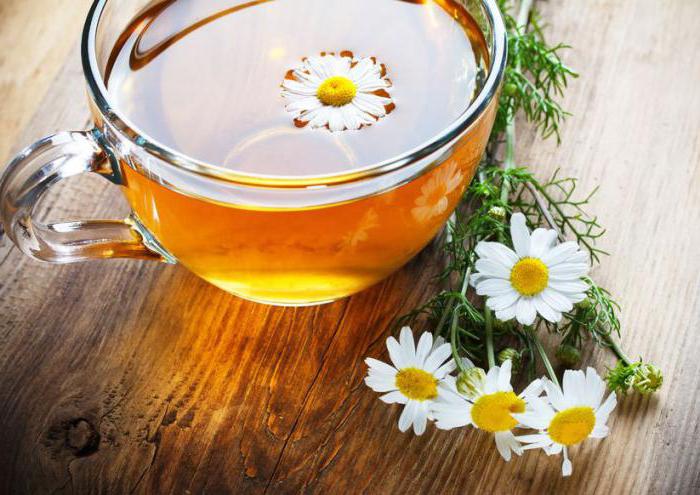 chamomile tea benefits and harms