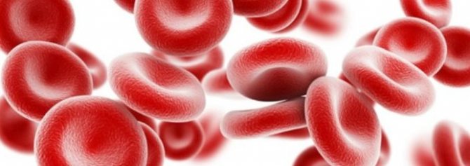 What do low red blood cells mean in the blood of an adult (reasons in women)