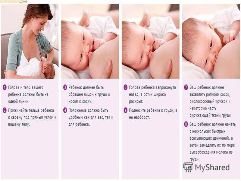 Как часто кормить новорожденного грудным
