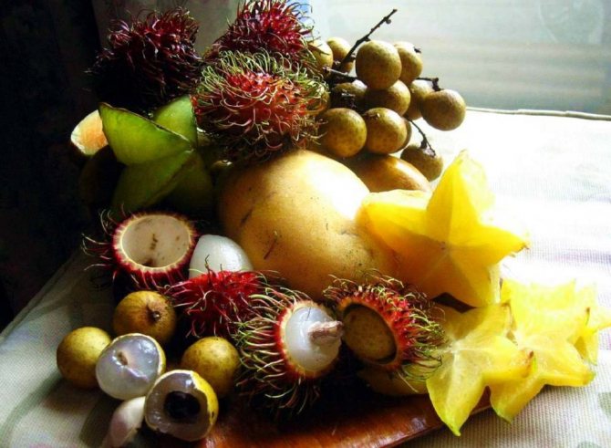 Экзотические фрукты на столе