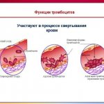 Функции тромбоцитов