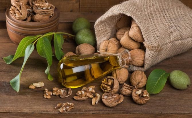 Walnuts in a bag and a bottle of walnut oil