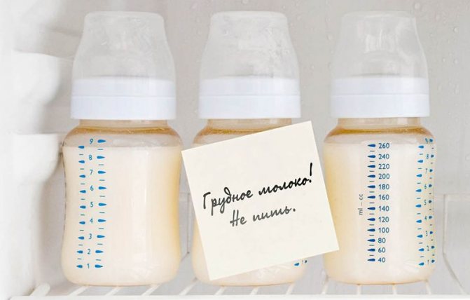 грудное молоко в баночках в холодильнике