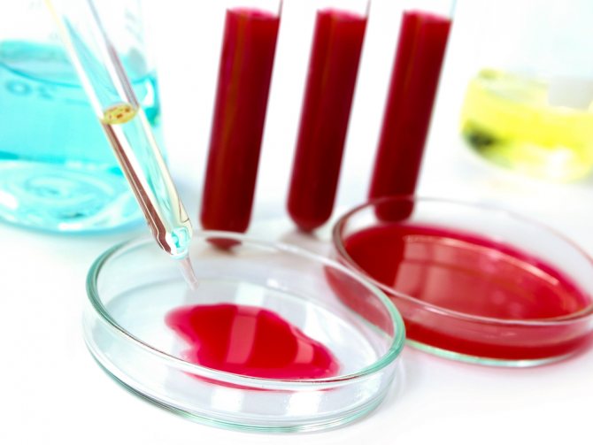 What blood tests show oncology: details of diagnosing cancer through blood