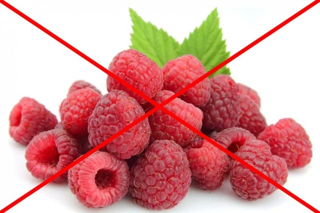 Raspberries while breastfeeding: can a nursing mother eat them?