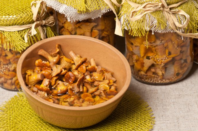 Marinated chanterelles in a plate and in a jar