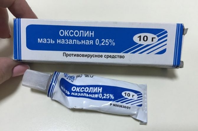 ointment for the prevention of rhinitis