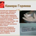 Методика подсчета лейкоцитов в камере Горяева, нормы показателей и отклонения