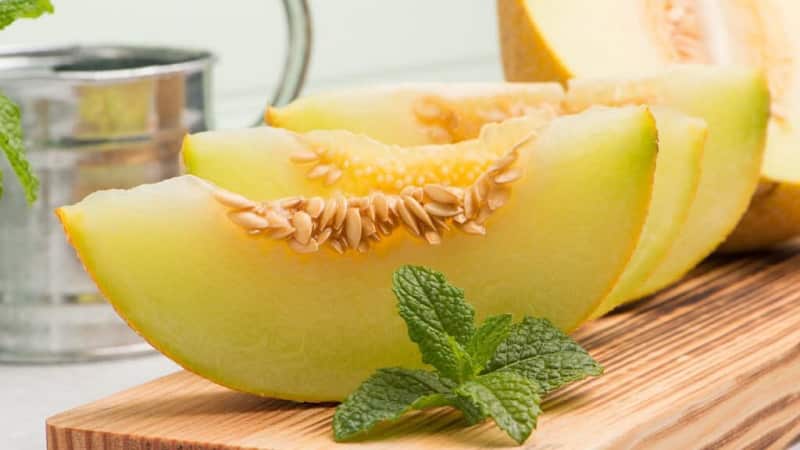 Is it possible to have melon while breastfeeding, how to choose it correctly and how much to eat