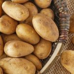 Можно ли есть картофель при грудном вскармливании