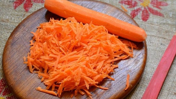 Можно ли употреблять морковь при грудном вскармливании