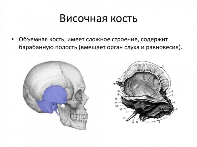 МРТ височных костей