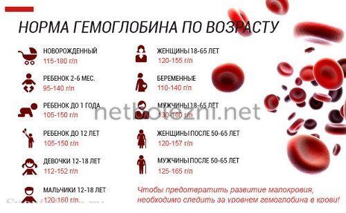 Hemoglobin norm by age