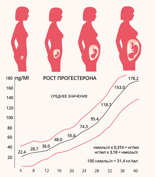 Norm of progesterone in pregnant women