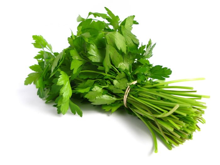 parsley for nursing mothers