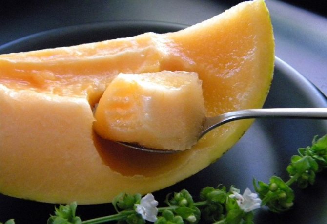 Useful properties of melon
