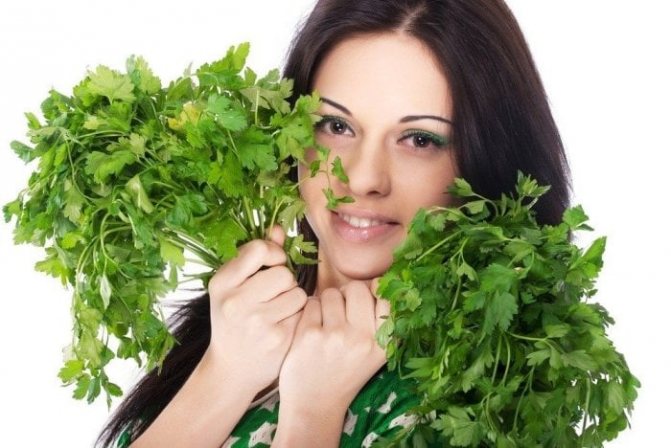 benefits of parsley for the female body