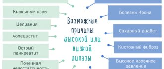 Причины повышения липазы в крови. О чем это говорит?