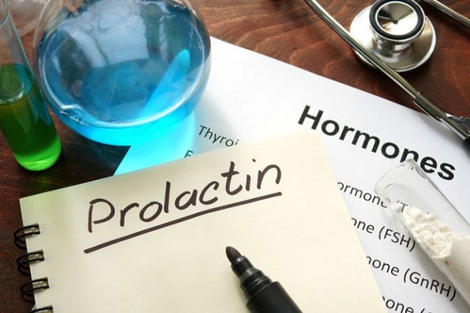 prolactin during lactation