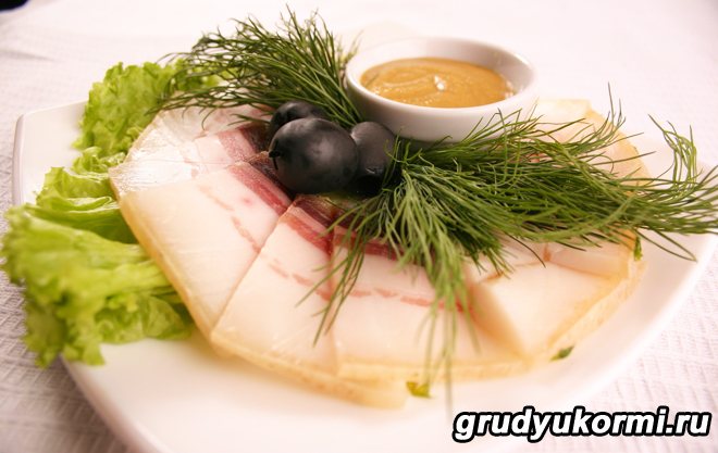 Lard with olives and herbs on a saucer