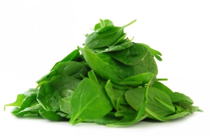spinach for nursing mothers