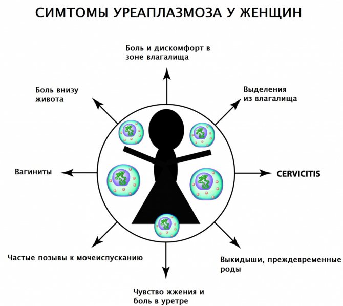 Symptoms of ureaplasmosis in women.jpg