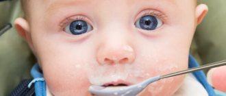 Сколько должен съедать новорождённый