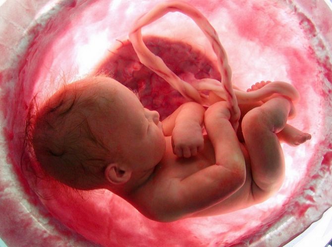 Condition of the placenta at 35 weeks