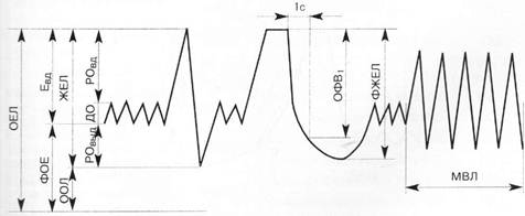 Spirographic curve and pulmonary ventilation indicators