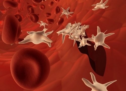 The mean platelet volume (MPV) is increased in adults and children. What does it mean, how to reduce 