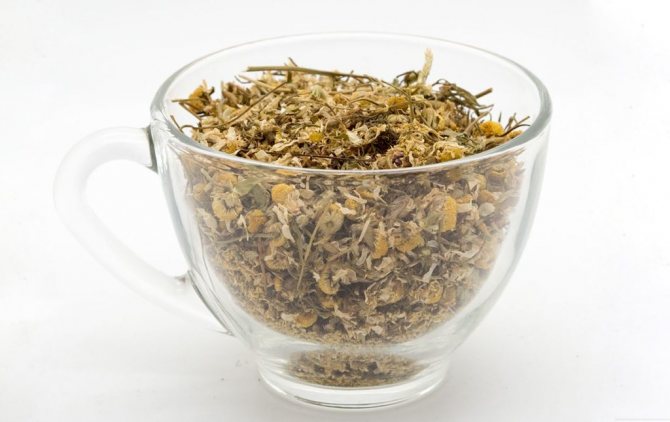 dried chamomile in a cup