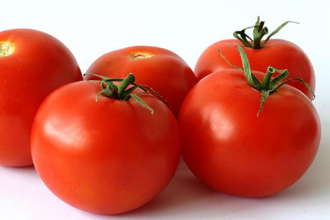 свежие красные помидоры