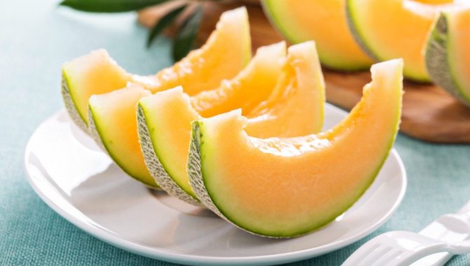 Properties of melon during lactation
