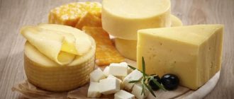 Сыр - полезный продукт, который можно включать в рацион кормящей мамы сразу после родов