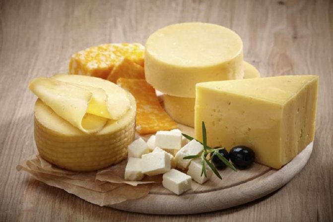 Cheese is a healthy product that can be included in the diet of a nursing mother immediately after childbirth.