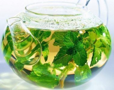 Herbal tea with lemon balm