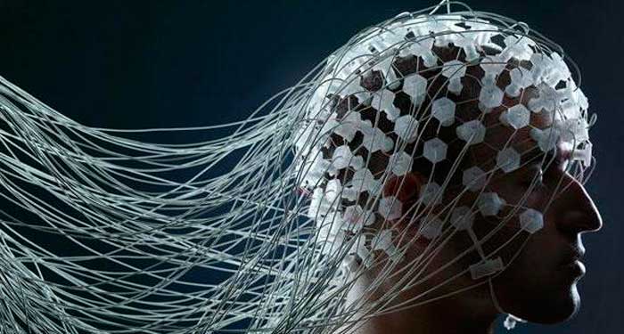 types of EEG of the head