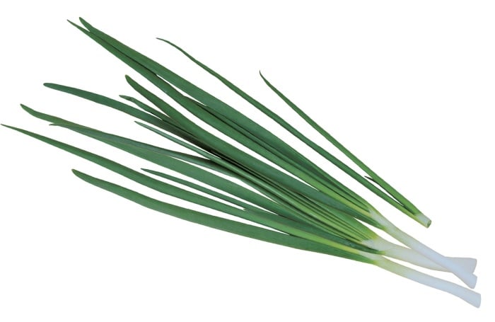 green onions for nursing mothers